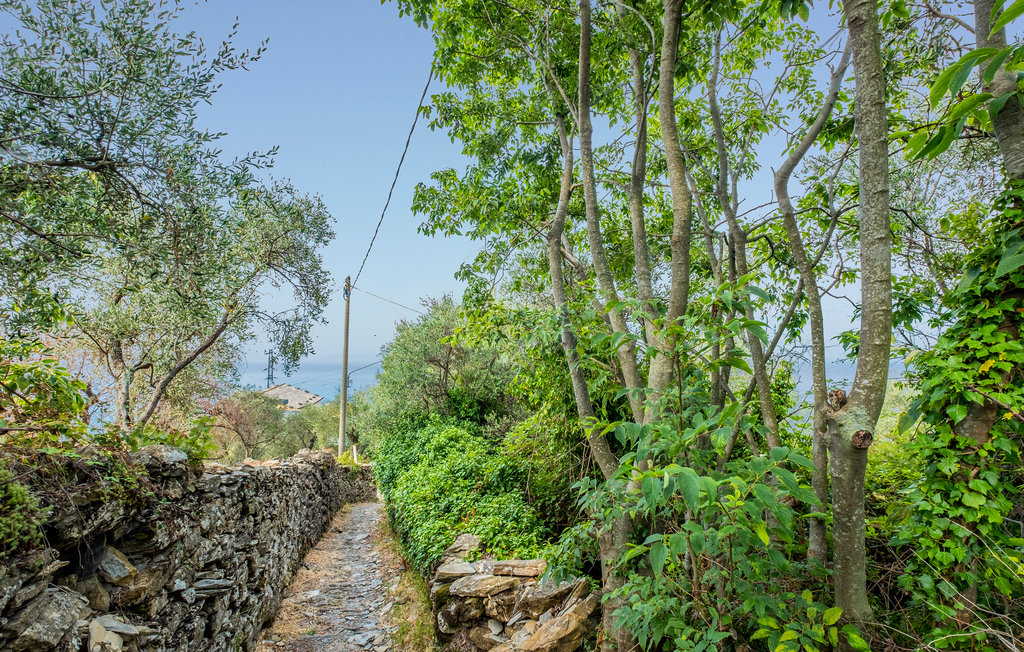 Ferienhaus - Zoagli , Italien - ILL794 37