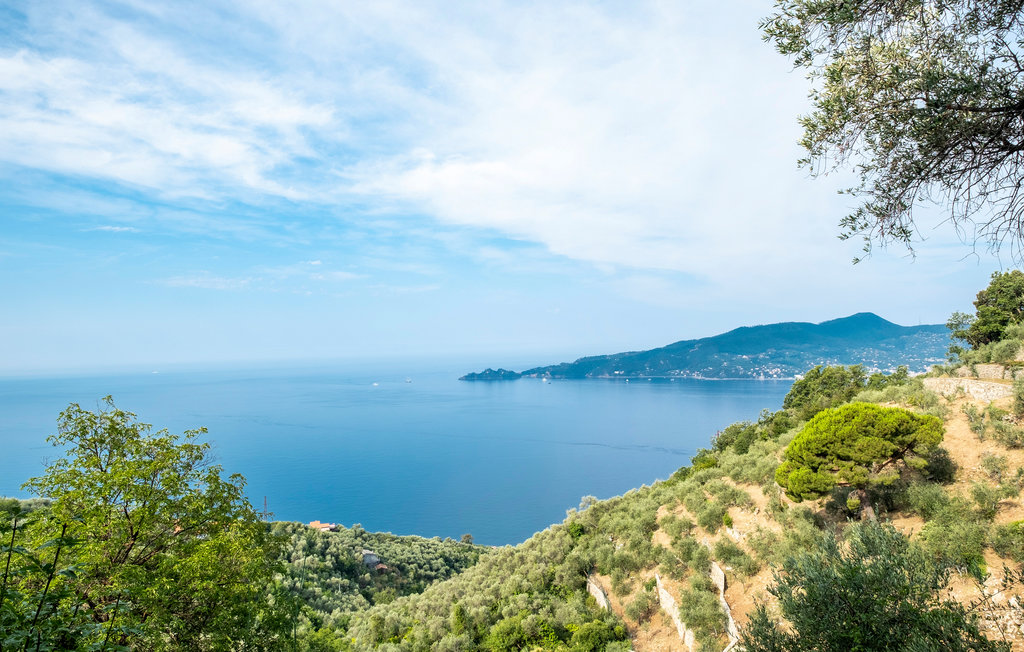 Ferienhaus - Zoagli , Italien - ILL794 18