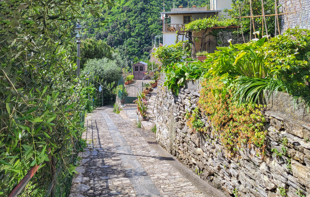 Ferienwohnung - Zoagli , Italien - ILL934 20
