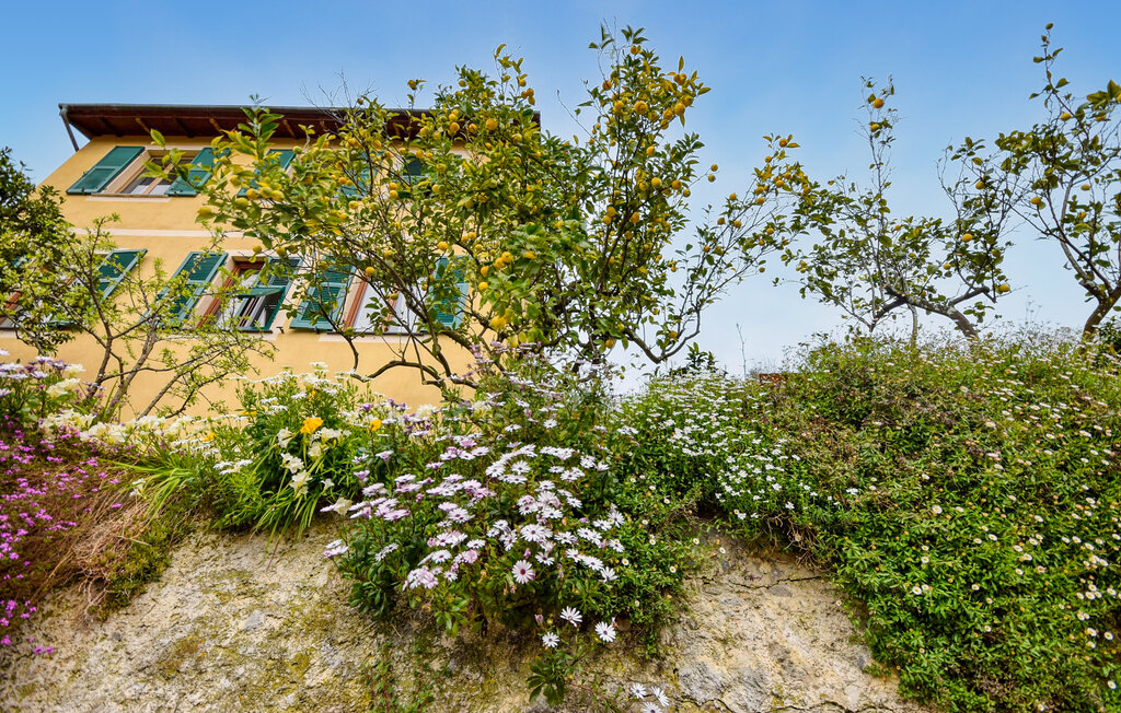 Ferienwohnung - Camogli , Italien - ILL461 13