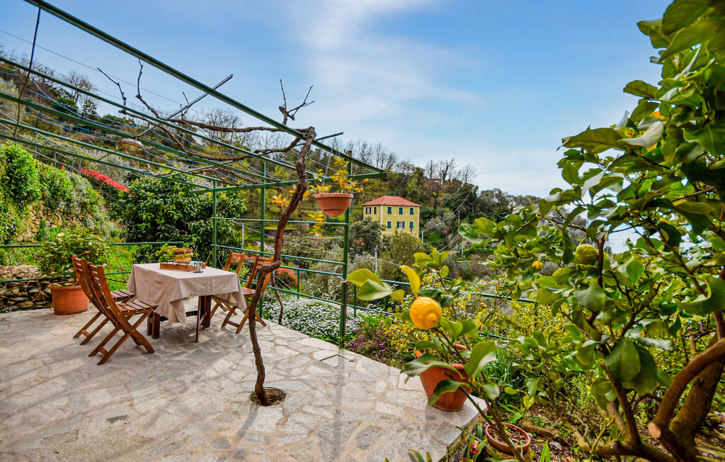 Ferienwohnung - Camogli , Italien - ILL461 16