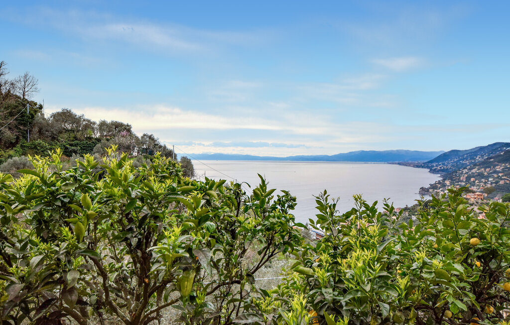 Ferienwohnung - Camogli , Italien - ILL461 7