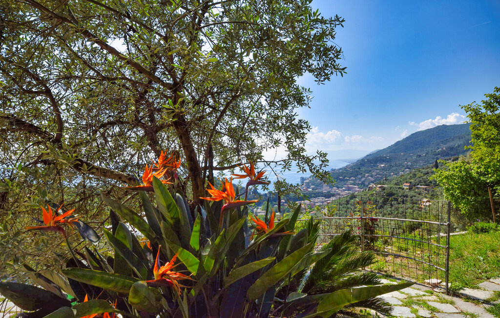 Ferienhaus - Recco , Italien - ILL001 12