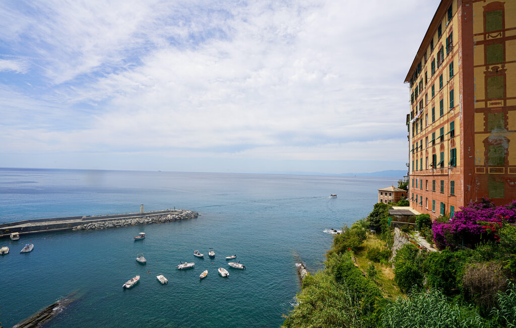 Ferienwohnung - Camogli , Italien - ILL477 2
