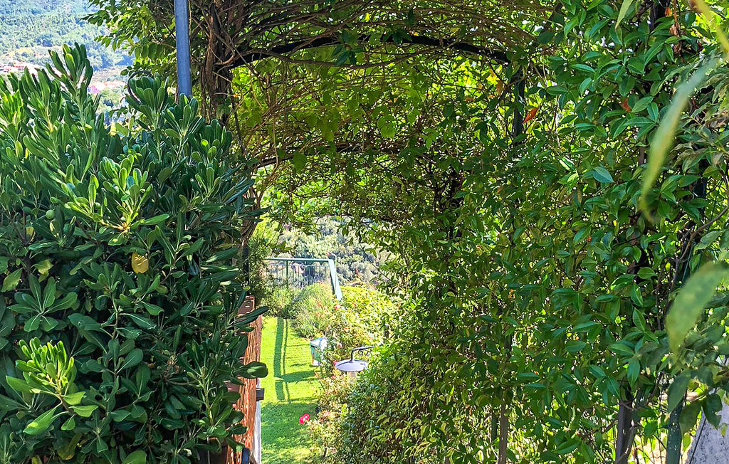 Ferienhaus - Celle Ligure , Italien - ILP216 41