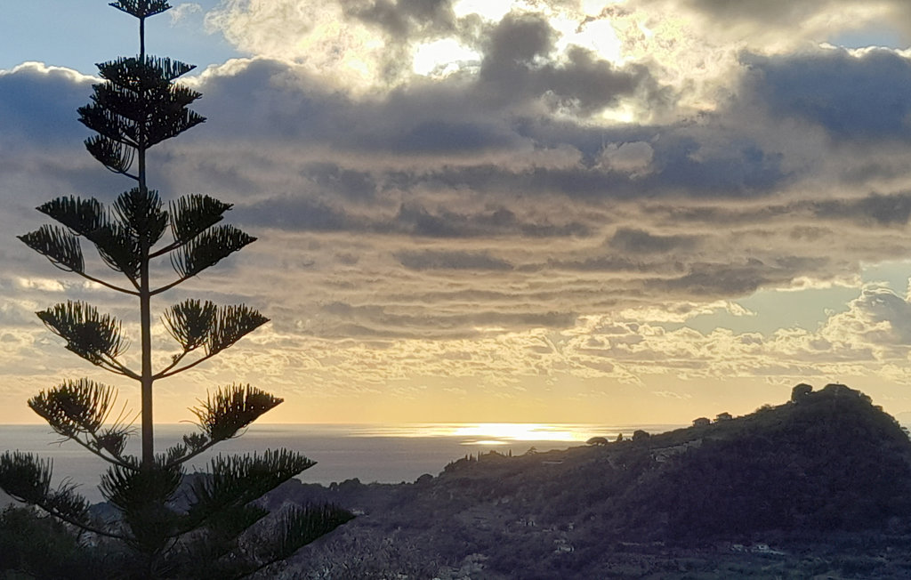 Ferienwohnung - Bordighera , Italien - ILP255 5