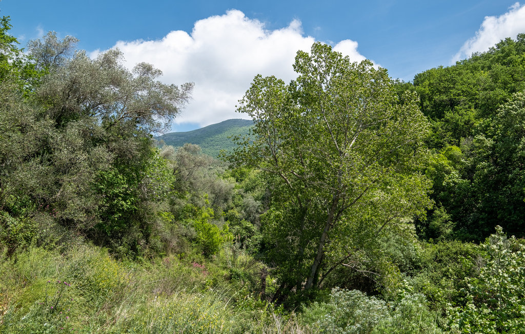 Feriehuse - Chiusavecchia , Italien - ILP141 33