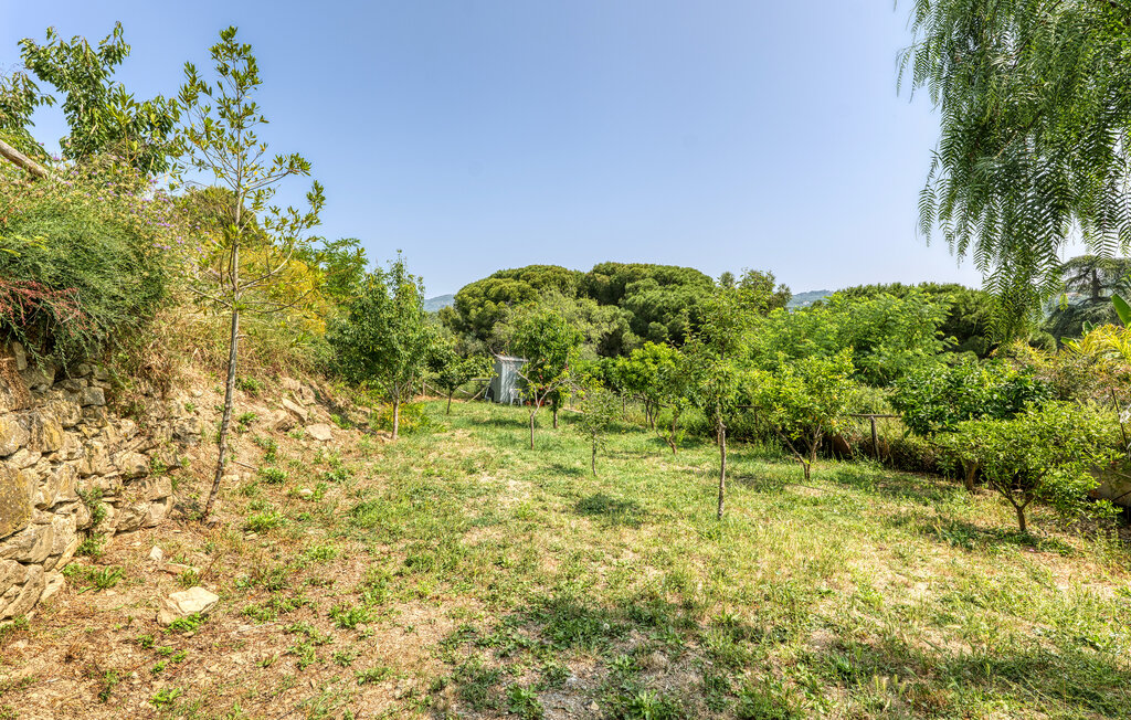 Ferienhaeuser - Imperia , Italien - ILP275 20