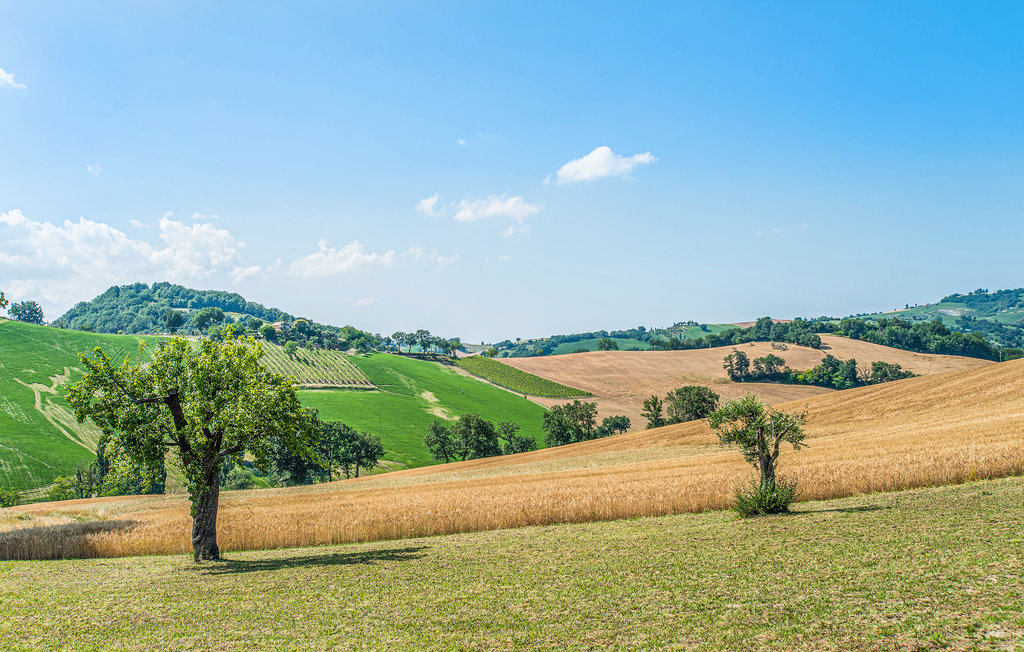 Ferienwohnung - Pergola , Italien - IMK166 6