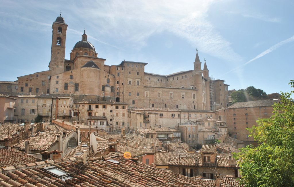 Ferienwohnung - Pergola , Italien - IMK166 7