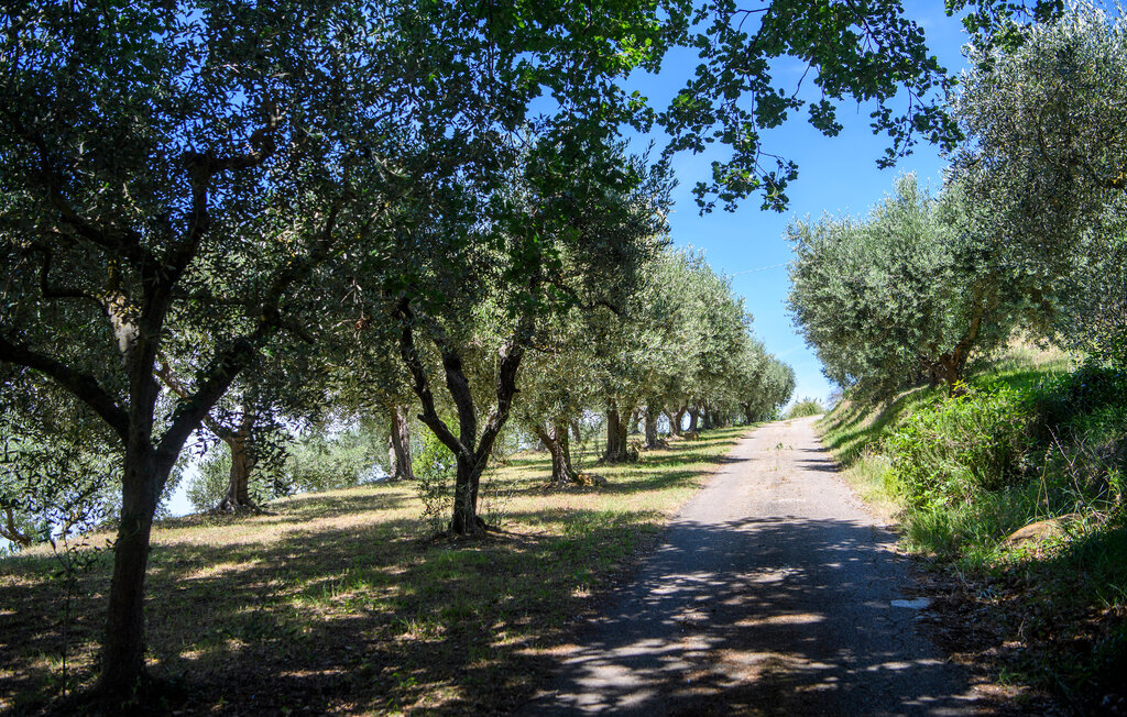 Location de vacances - Pesaro , Italie - IMK023 33