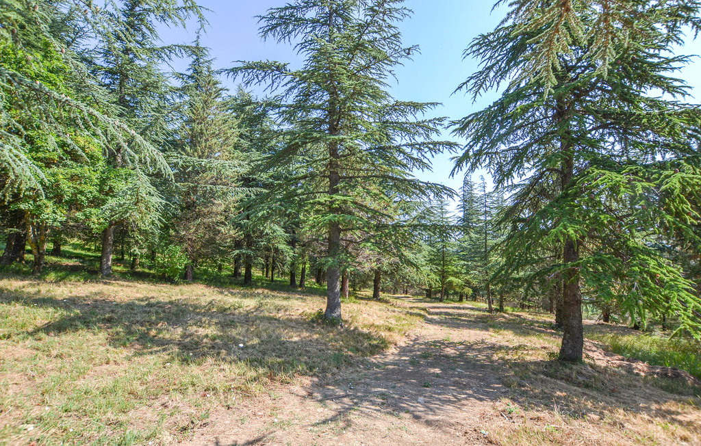 Semesterhus - Apecchio , Italien - IMM241 28