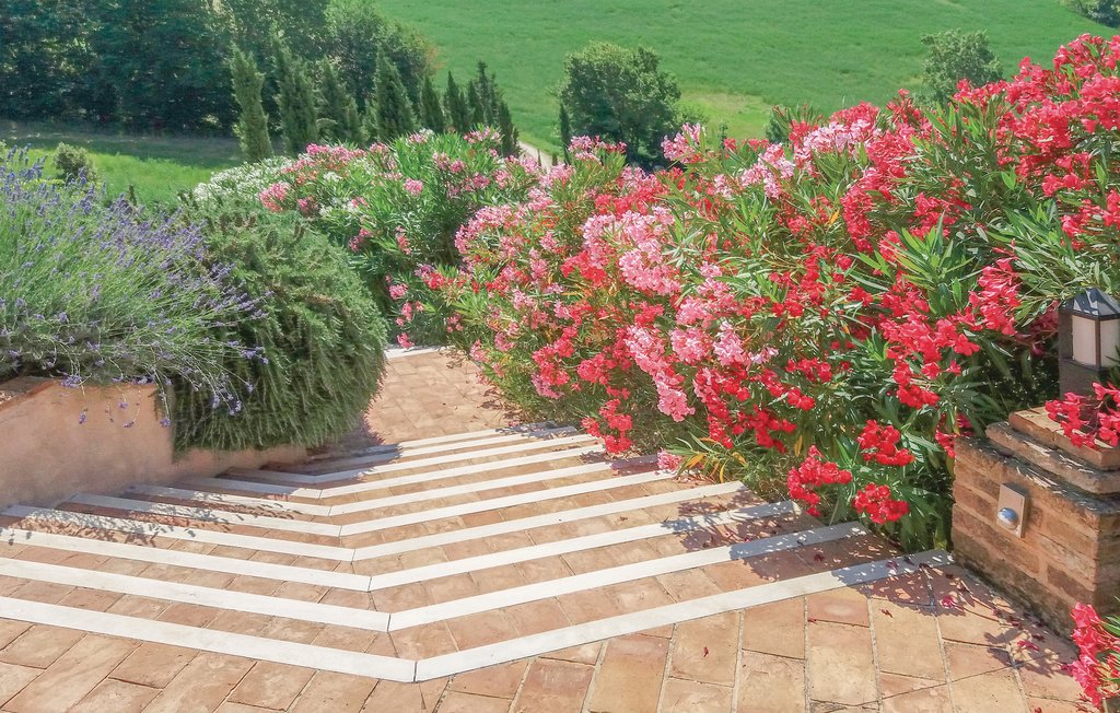 Feriehuse - Ancona , Italien - IMM194 14