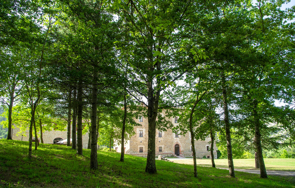 Ferieleilighet - Apecchio , Italia - IMM424 17