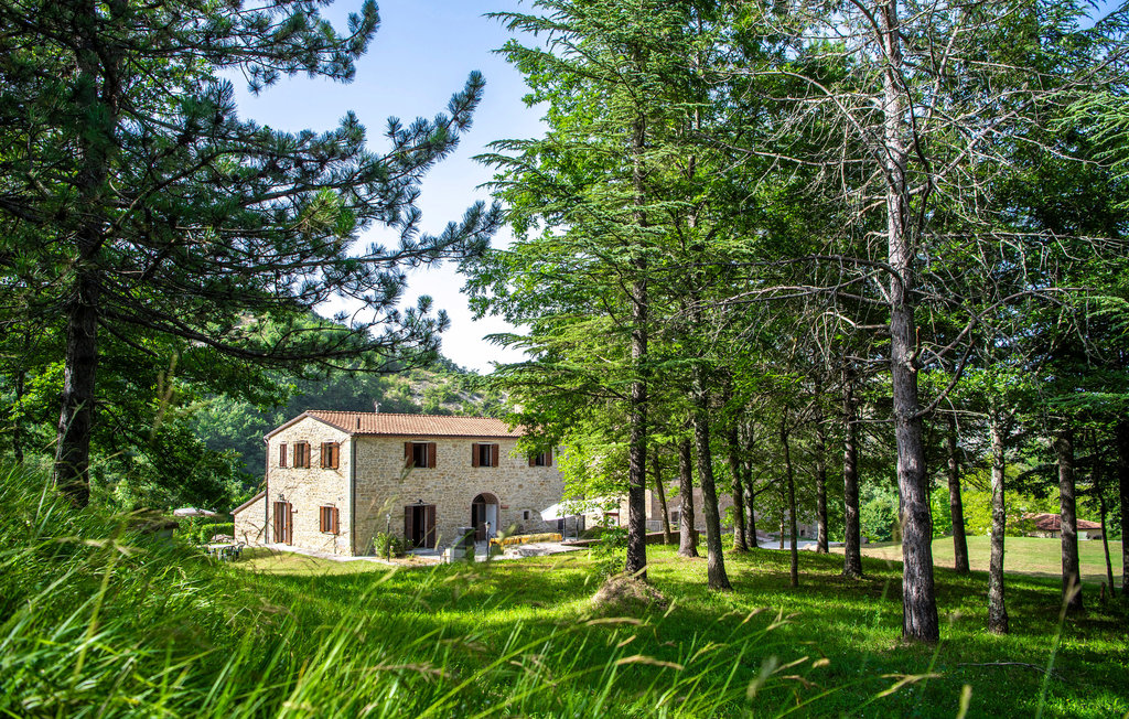 Ferieleilighet - Apecchio , Italia - IMM424 22