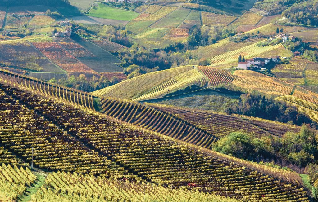 Ferienhaus - Barolo - Langhe , Italien - IPL128 26