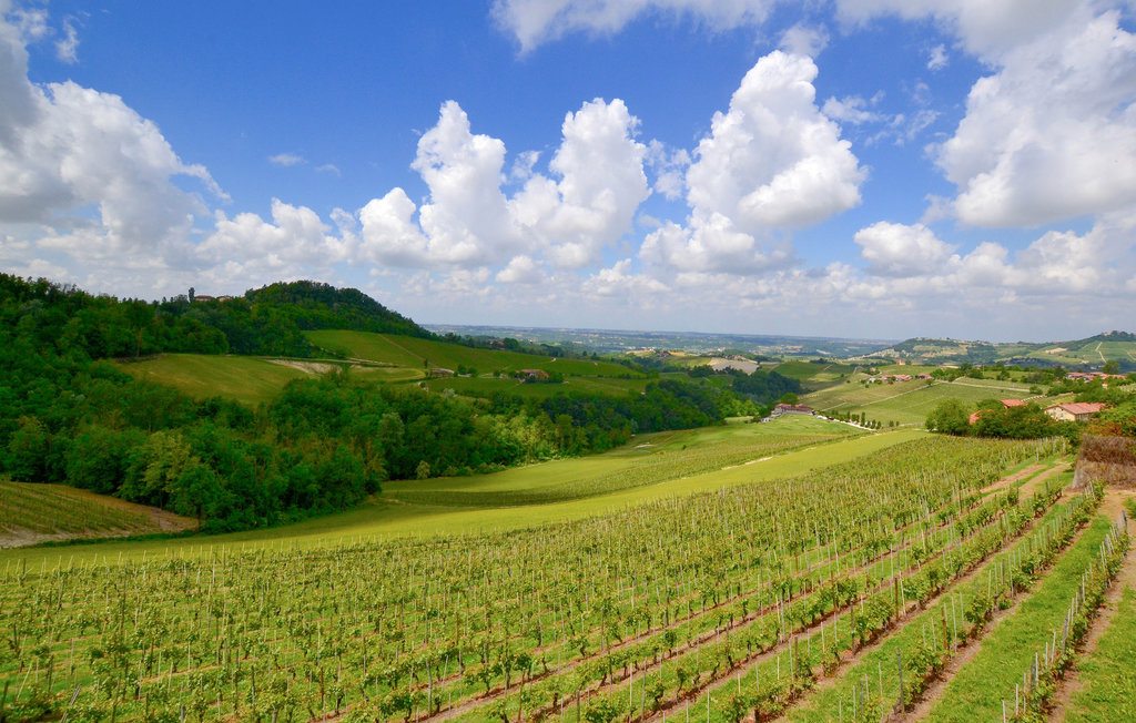 Semesterhus - Alba , Italien - IPL271 25