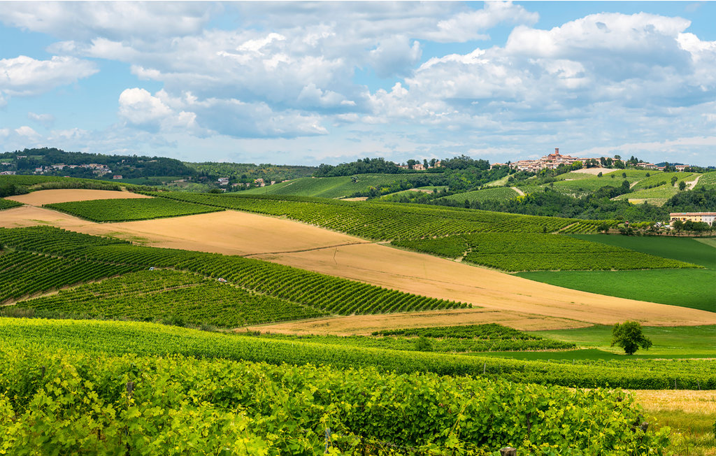 Feriehus - Montegrosso Cinaglio , Italia - IPL270 8