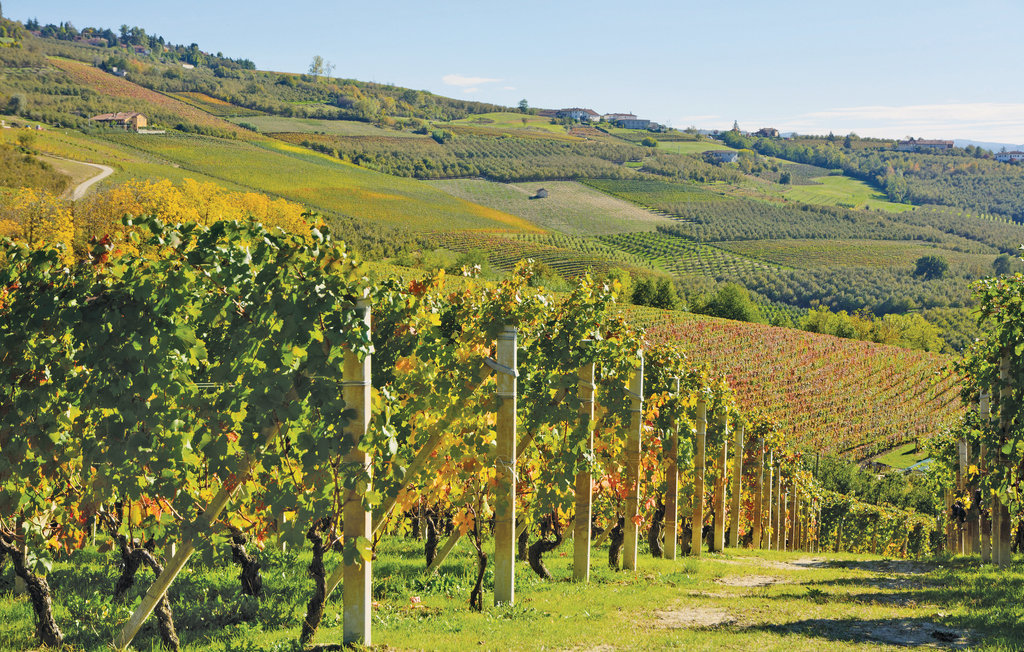 Ferienhaus - Barolo , Italien - IPL137 31