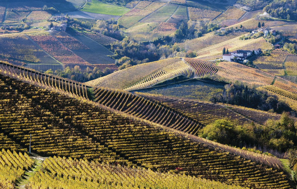 Ferienhaus - Asti , Italien - IPL138 30