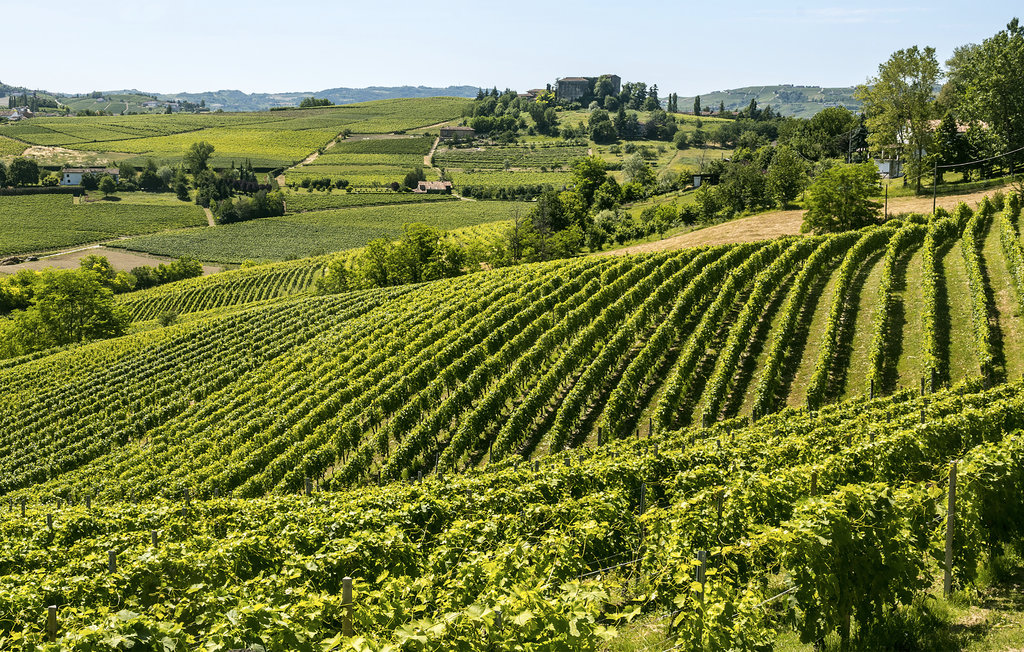 Feriehus - Montegrosso Cinaglio , Italia - IPL270 22