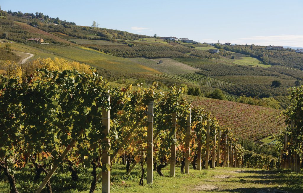 Ferieleilighet - Cisterna d'Asti , Italia - IPL101 26