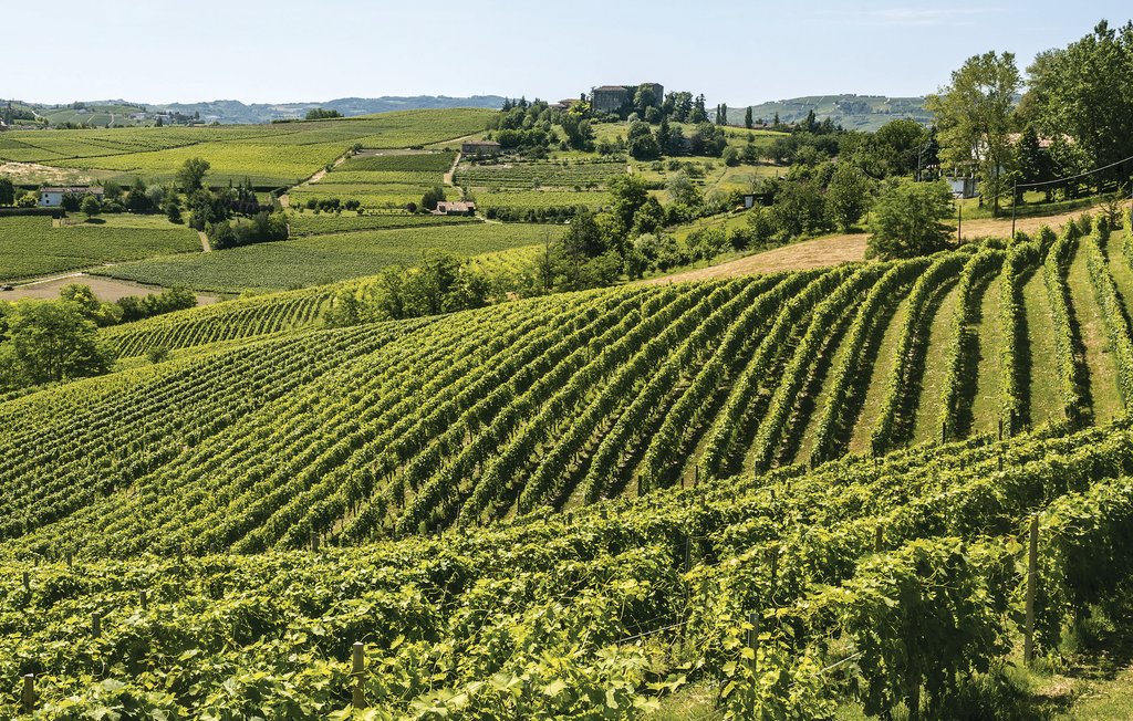 Ferienwohnung - Cisterna d'Asti , Italien - IPL102 22