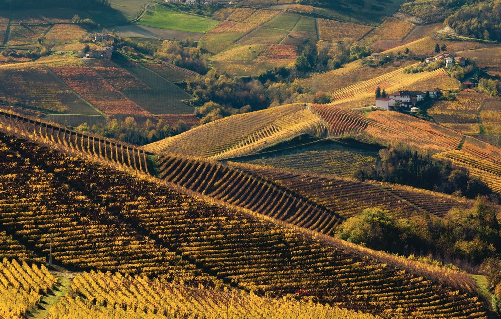 Ferieleilighet - Cisterna d'Asti , Italia - IPL101 23