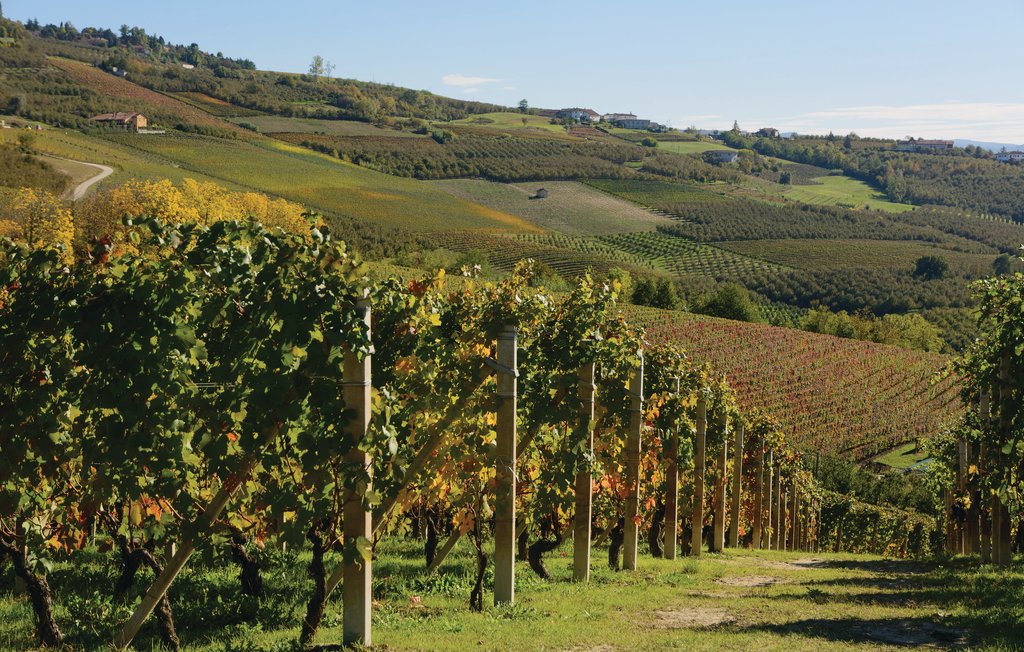 Ferieleilighet - Cisterna d'Asti , Italia - IPL101 24