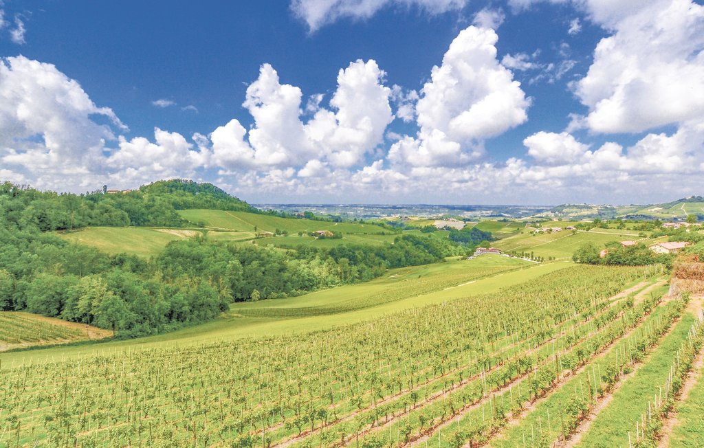 Ferienhaus - Cuccaro Monferrato , Italien - IPL221 7