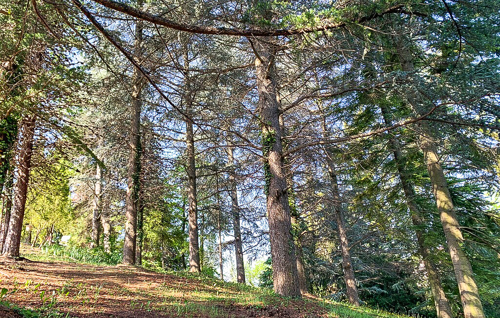 Feriehuse - Marsaglia , Italien - IPL009 34