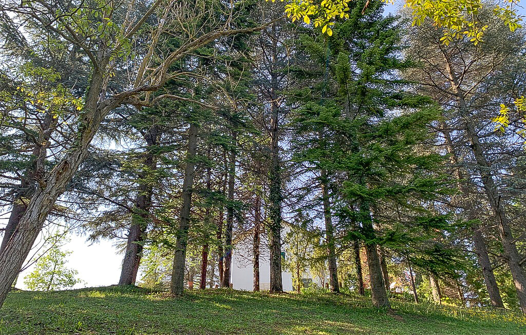 Feriehuse - Marsaglia , Italien - IPL009 33