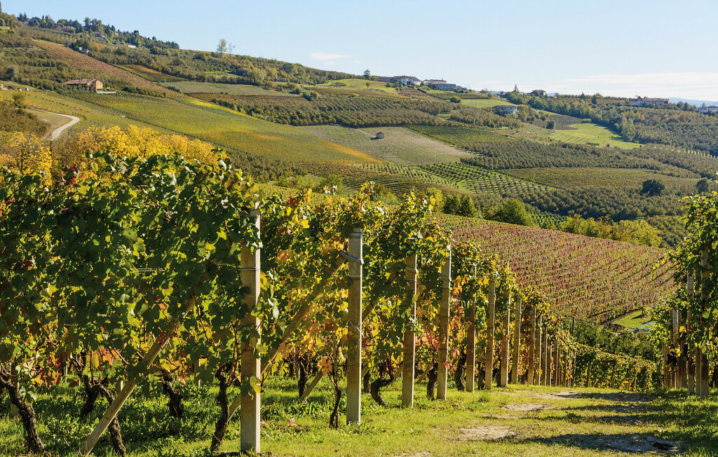 Ferienhaus - San Marzano Oliveto , Italien - IPL015 7