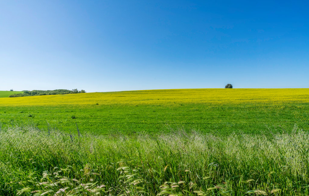 Ferienhaus - Montalto di Castro , Italien - IRK217 51