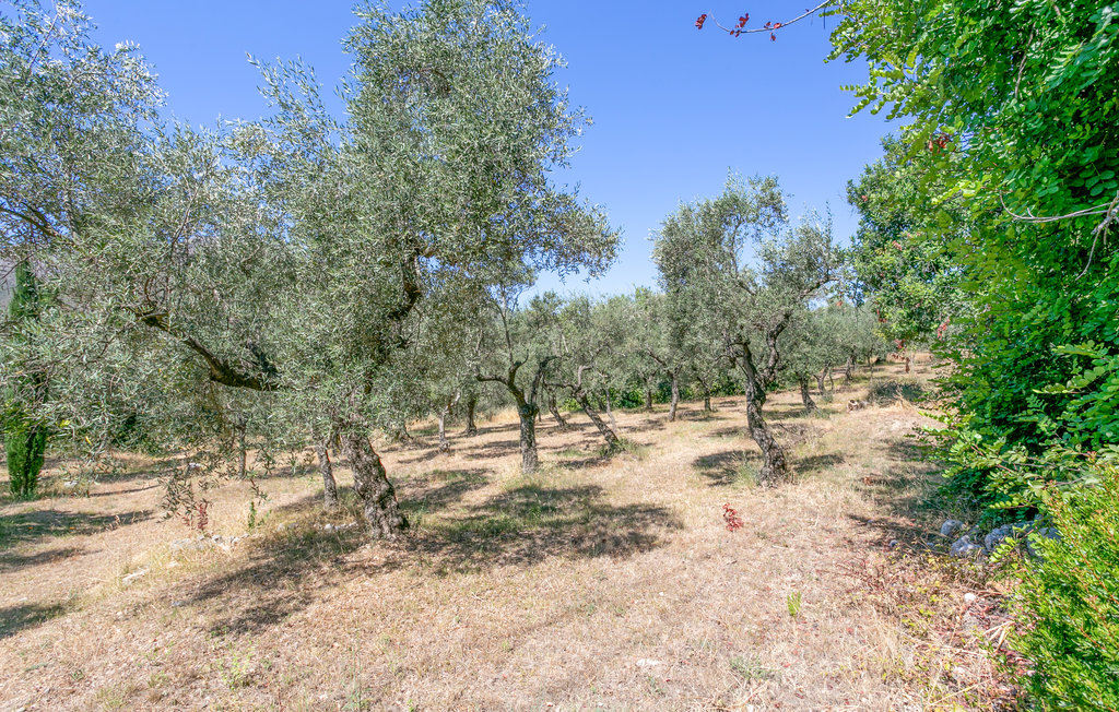 Semesterhus - Latina , Italien - IRK231 7