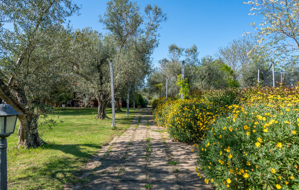 Ferienhaus Montalto di Castro (IRK217)