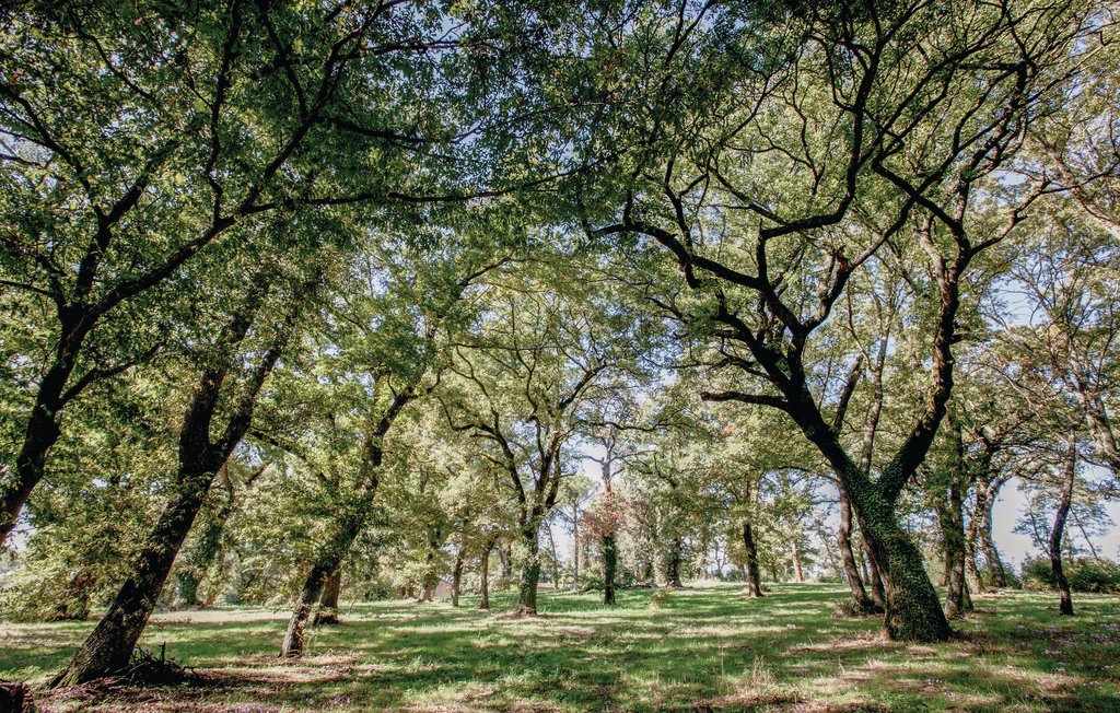 Ferienhaus - Montefiascone , Italien - IRU325 22