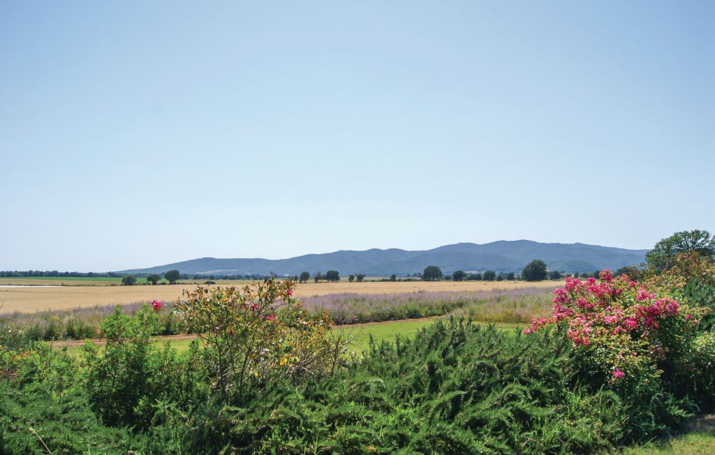 Feriehus - Ischia di Castro , Italia - IRU214 27