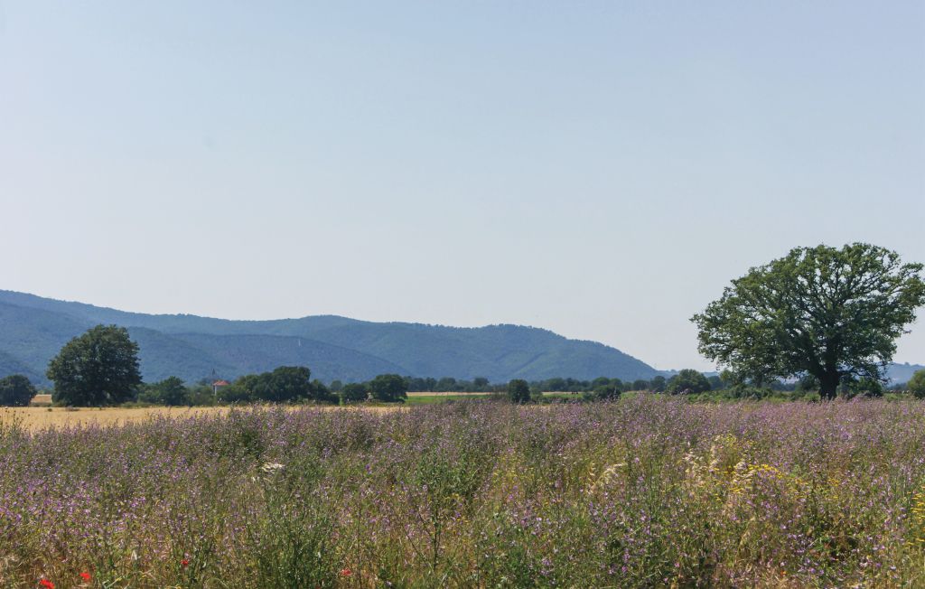 Feriehus - Ischia di Castro , Italia - IRU214 24