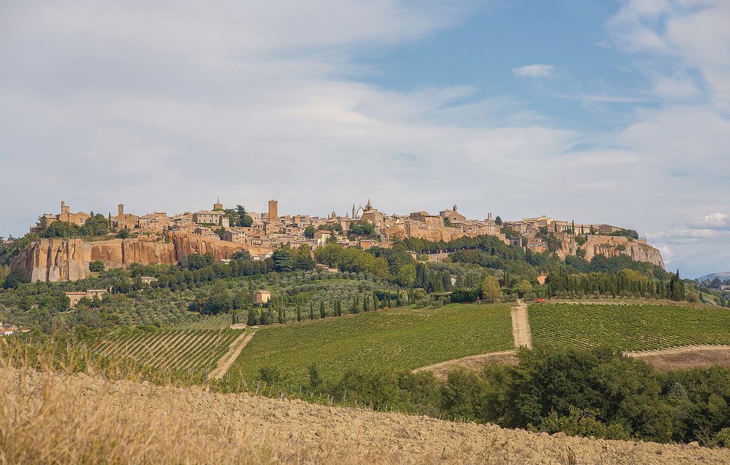 Location de vacances - Magliano Sabina , Italie - IRU210 27