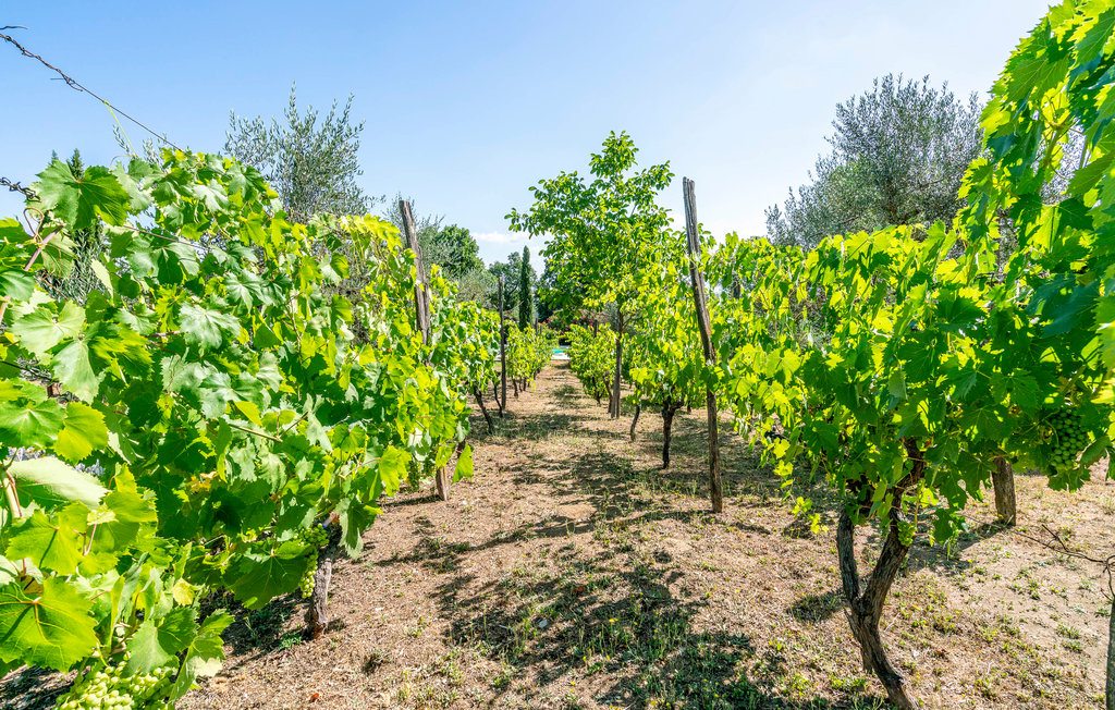 Feriehuse - Vitorchiano , Italien - IRU247 16