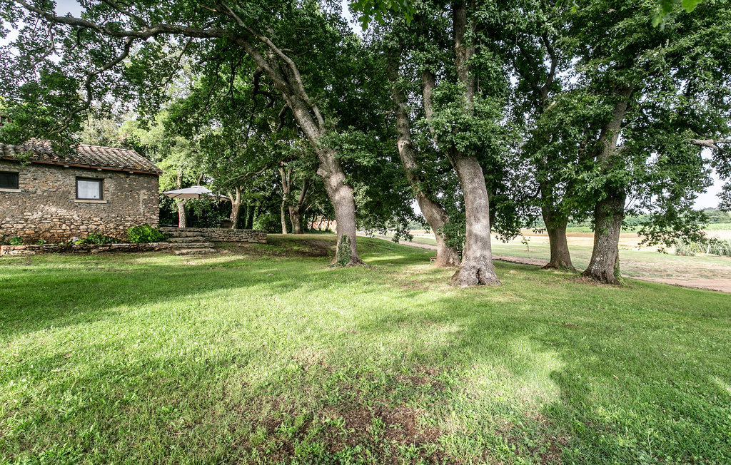 Feriehus - Ischia di Castro , Italia - IRU214 12