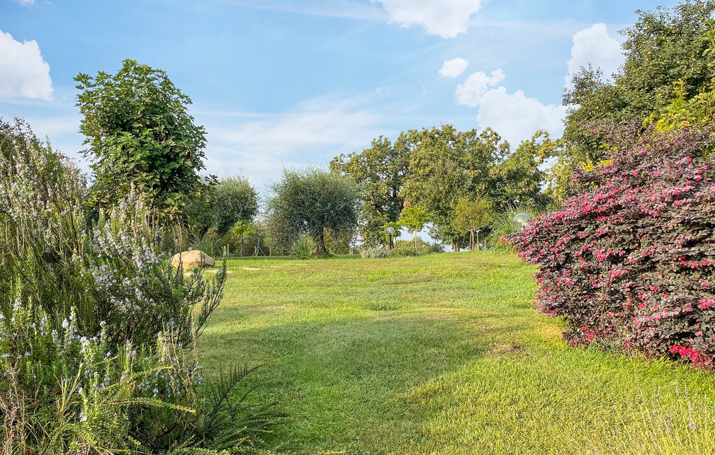 Ferienwohnung - Capranica , Italien - IRU206 10