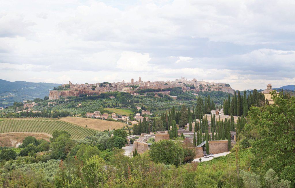 Feriehus - Montefiascone , Italia - IRU267 32
