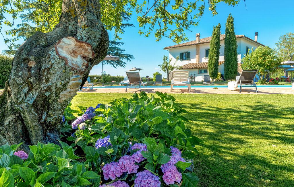 Semesterhus - Bagnoregio , Italien - IRU009 6