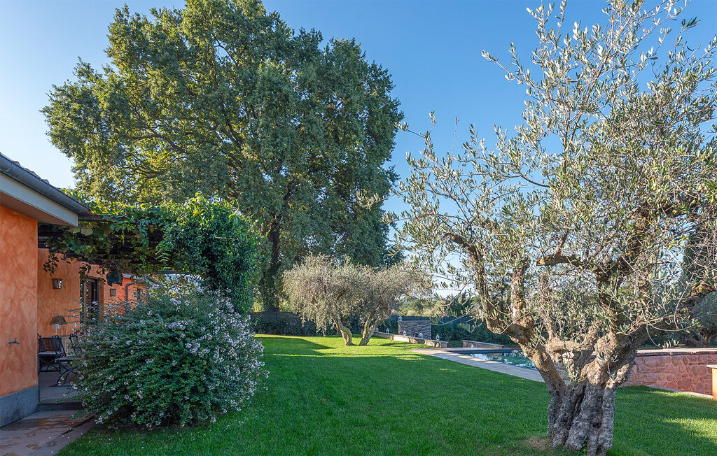 Domy wakacyjne - Rocca di Papa , Włochy - IRU013 19