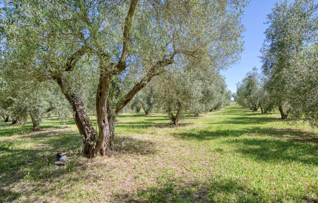 Kuća-za-odmor - Ischia di Castro , Italija - IRU005 31