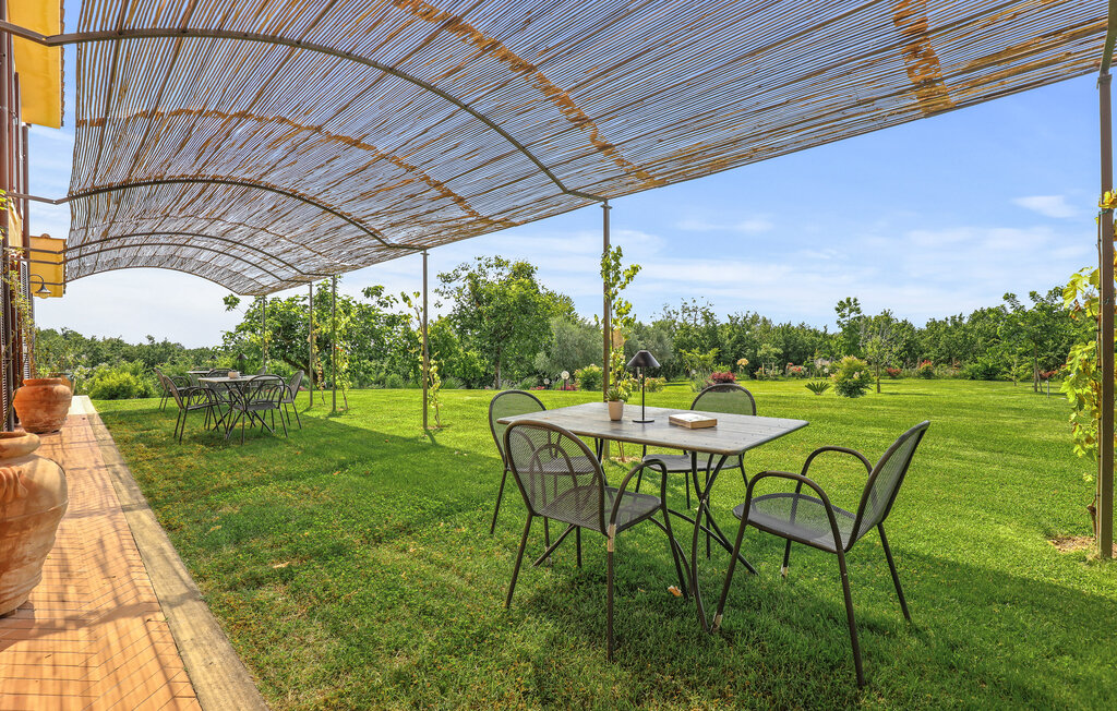 Ferienwohnung - Capranica , Italien - IRU206 5