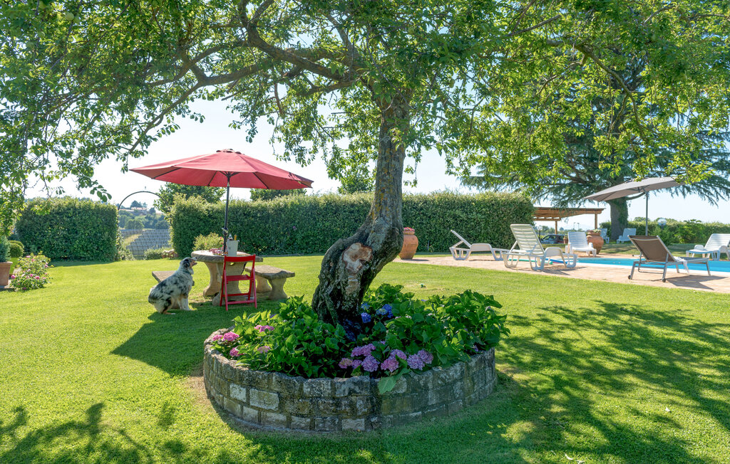 Semesterhus - Bagnoregio , Italien - IRU009 19