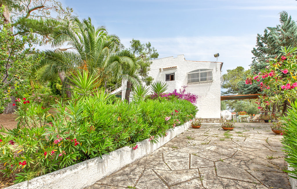 Ferienwohnung - Vieste , Italien - ISA408 5